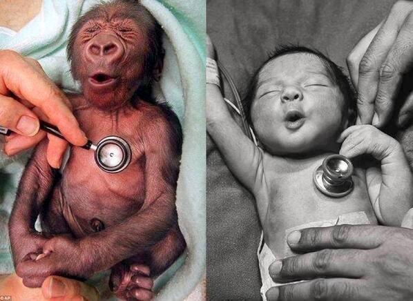 babiesssszzz