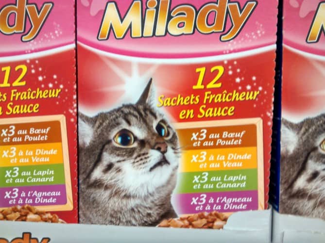 that-cat-is-highhh-so-highhh